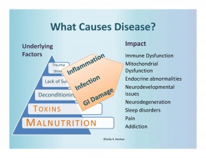 Underlying disease factors listed in a pyramid, which casue the proesses of inflammation, infection and GI damage, which lead to list of medial problems