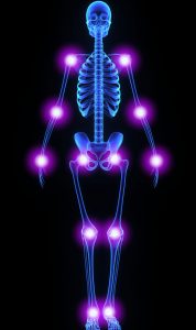 Major Joints in Human Body