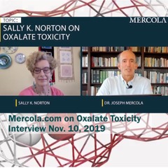 Sally and Dr. Mercola shown during their conversation.